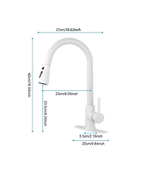 Kitchen Faucet with Pull Out Spraye