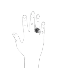 Bling Jewelry Signet Fierce Roaring Big Wolf Head Coin Ring Oxidized Stainless Steel