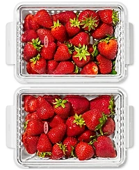 Oxo Good Grips Berry Keeper Produce Saver, 2-Piece Set