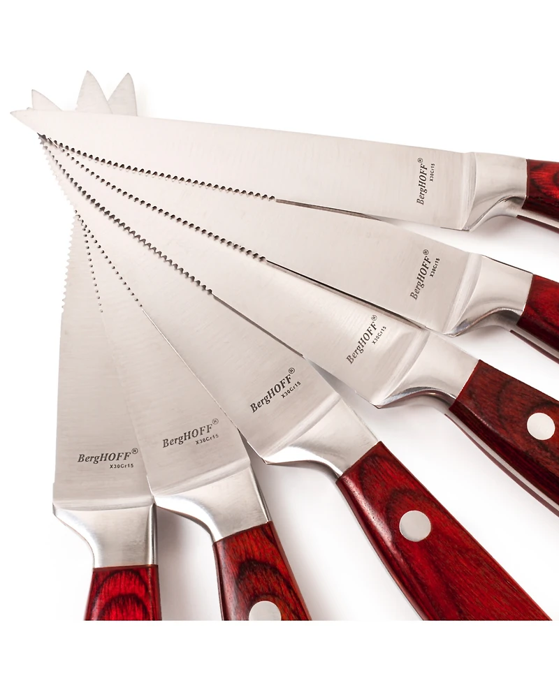 BergHOFF Pakka Wood 9-Piece Steak Carving Knife Set