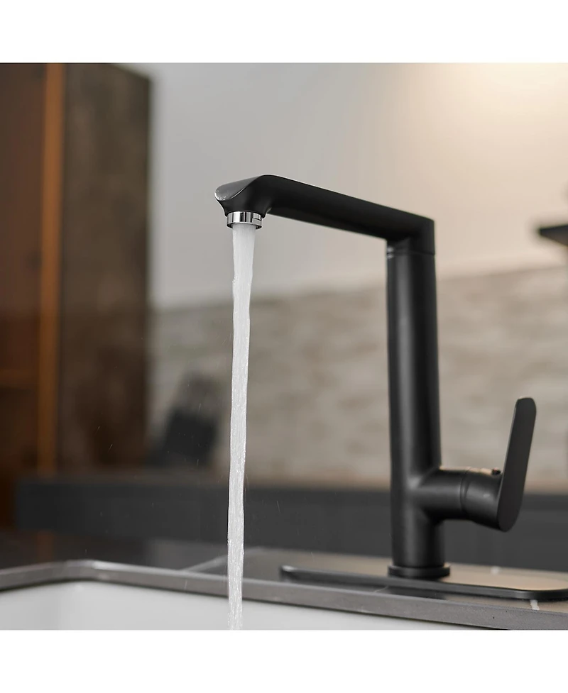 Single Handle Standard Kitchen Faucet in Matte Black