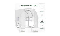 Walk-In Greenhouse for Gardening – Large Outdoor Plant Growing Space