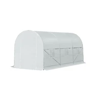 Walk-In Tunnel Greenhouse for Gardening and Plant Protection with Spacious Design