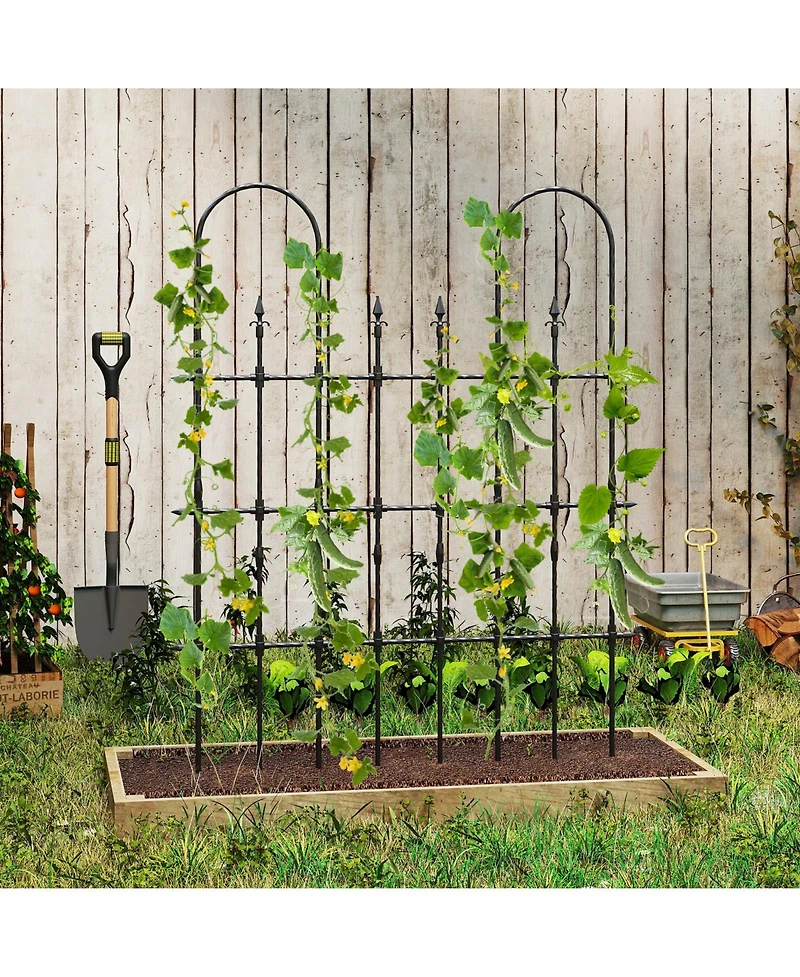 Outdoor Garden Rose Arch Trellis for Climbing Plants