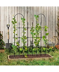 Outdoor Garden Rose Arch Trellis for Climbing Plants