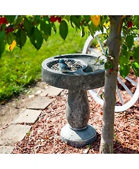 27" H Bird Bath with Birdseed Feeder Compartment