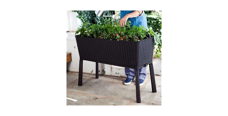 Modern Resin Wicker Raised Garden Bed Planter with Water Indicator