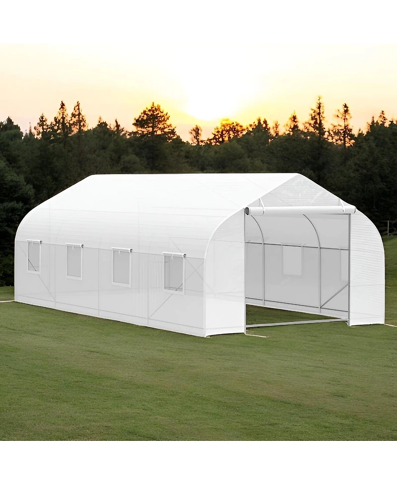 Spacious Greenhouse for Ideal Plant Growth and Year-Round Gardening