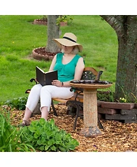 Toulon Outdoor Ceramic Bird Bath - 24.5" H - Uv- and Frost-Resistant - Glazed Bowl - Brown Lava Finish
