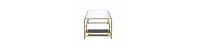 Minimalist Glass and Metal Coffee Table – Elegant and Functional