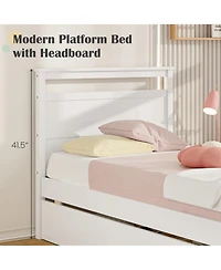 Twin Wooden Bed Frame with 2 Drawers for Teens and Adults