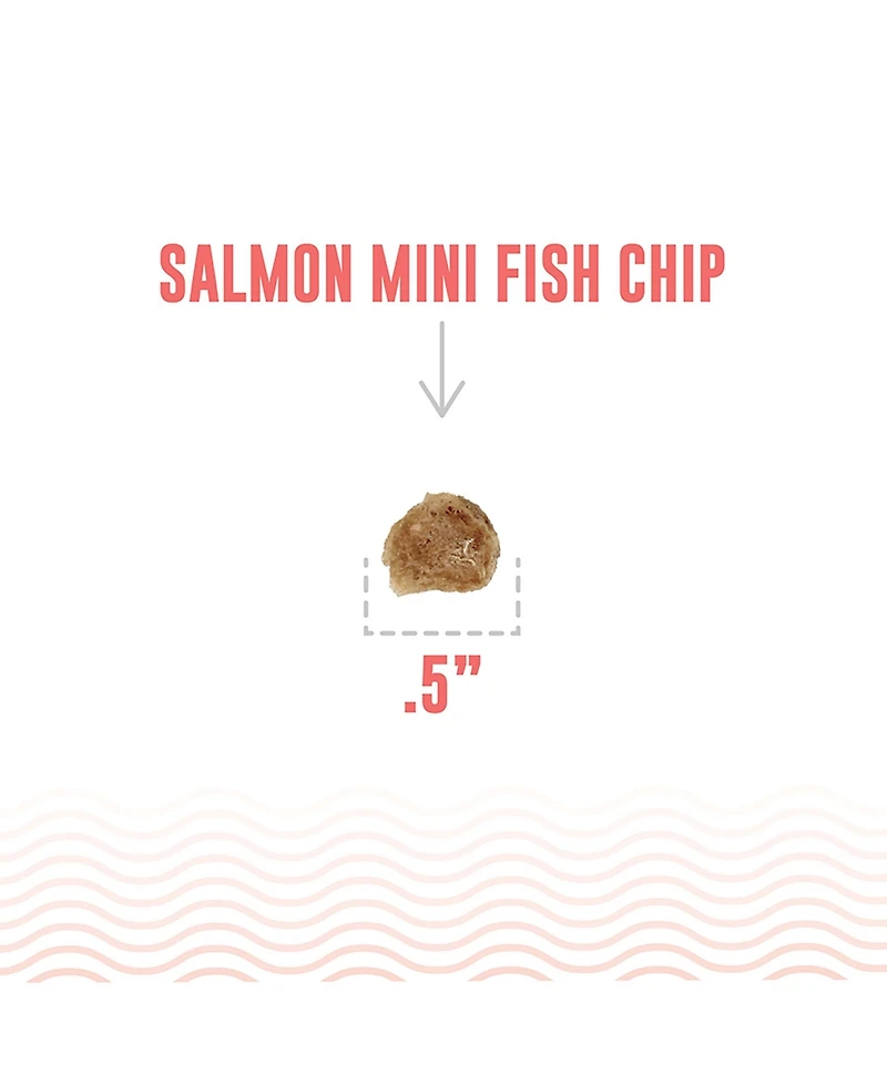 Mini Fish Chips: Salmon - Dog Treat 2.5oz