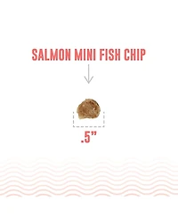 Mini Fish Chips: Salmon - Dog Treat 2.5oz