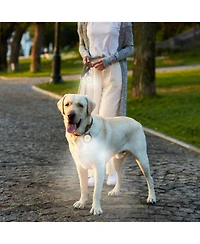 P.t. Supply Co. Clip-Brite Led Safety Light for Pets, High Visibility Clip-On Light for Dogs & Cats