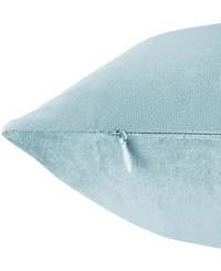 Nestl Elegant Velvet Removeable Cover 2-Pack Decorative Pillows