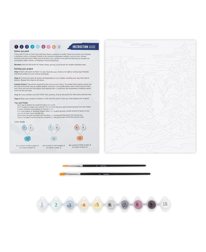 Acrylic Paint-By-Number Kit