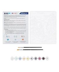 Acrylic Paint-By-Number Kit