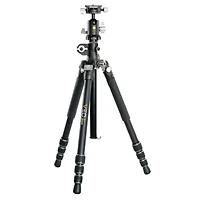 Sigma 150-600mm f/5-6.3 Dg Dn Os Sports Lens, L Mount, Bundle with Vanguard Alta Pro 2+ 263AB100 3-Section Aluminum Tripod