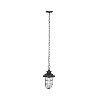 Adelle 9" Outdoor Pendant
