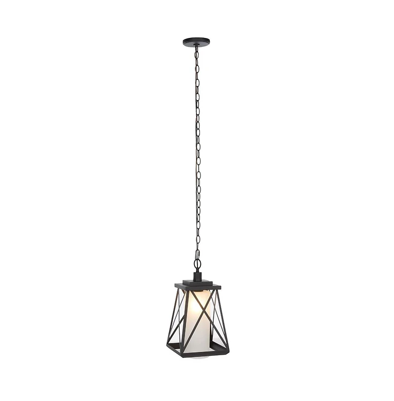 Braith 9.1" Outdoor Pendant