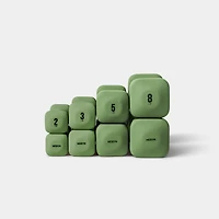 WeGym SafeGrip Dumbbells Lower Set with Light Rack - 2, 3, 5, 8lbs