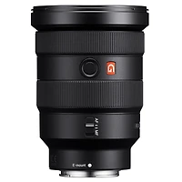 Sony Alpha 1 Mirrorless Camera, Bundle with Fe 16-35mm f/2.8 Gm Lens, Alpine 200 Backpack, 128GB Uhs-ii Sdxc Memory Card, Extra Battery, 82mm Filter