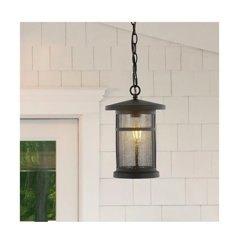 Osprey 8" Outdoor Pendant