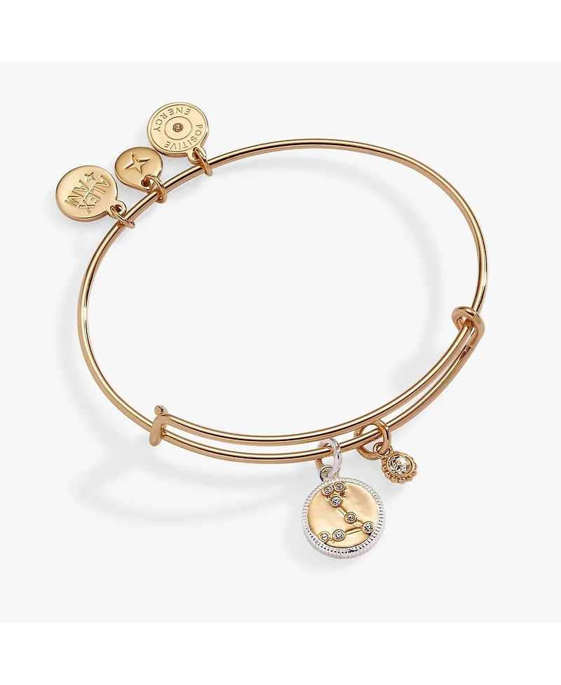 Zodiac Bangle Bracelet Pisces
