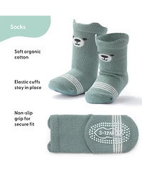 The Peanutshell Baby Boys 12pk Cotton Socks