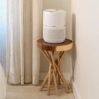 Oval Air H13 Smart Desk Purifier – 150 sq. ft. | Filters Allergies, Odors & Smoke