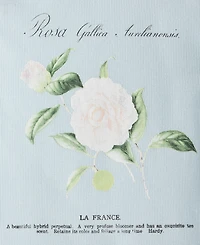 Grayson Threads Kids, The Label Girls 4-8 Floral Short-Sleeve T-Shirt