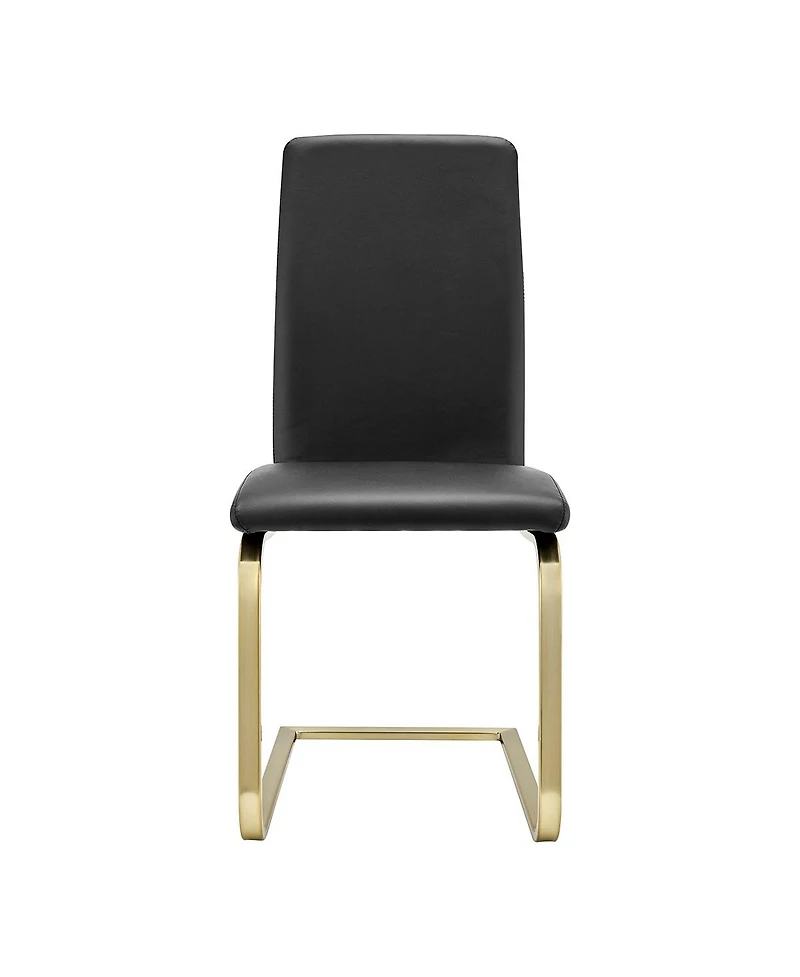 Set of 2 Modern Dining Chairs for Kitchen Table or Home Seating