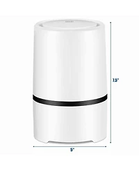 Mini Ionic 3-in-1 Composite Hepa Air Purifier