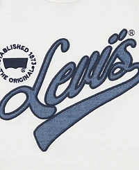 Levi's Big Girls Flounce Raglan T-Shirt