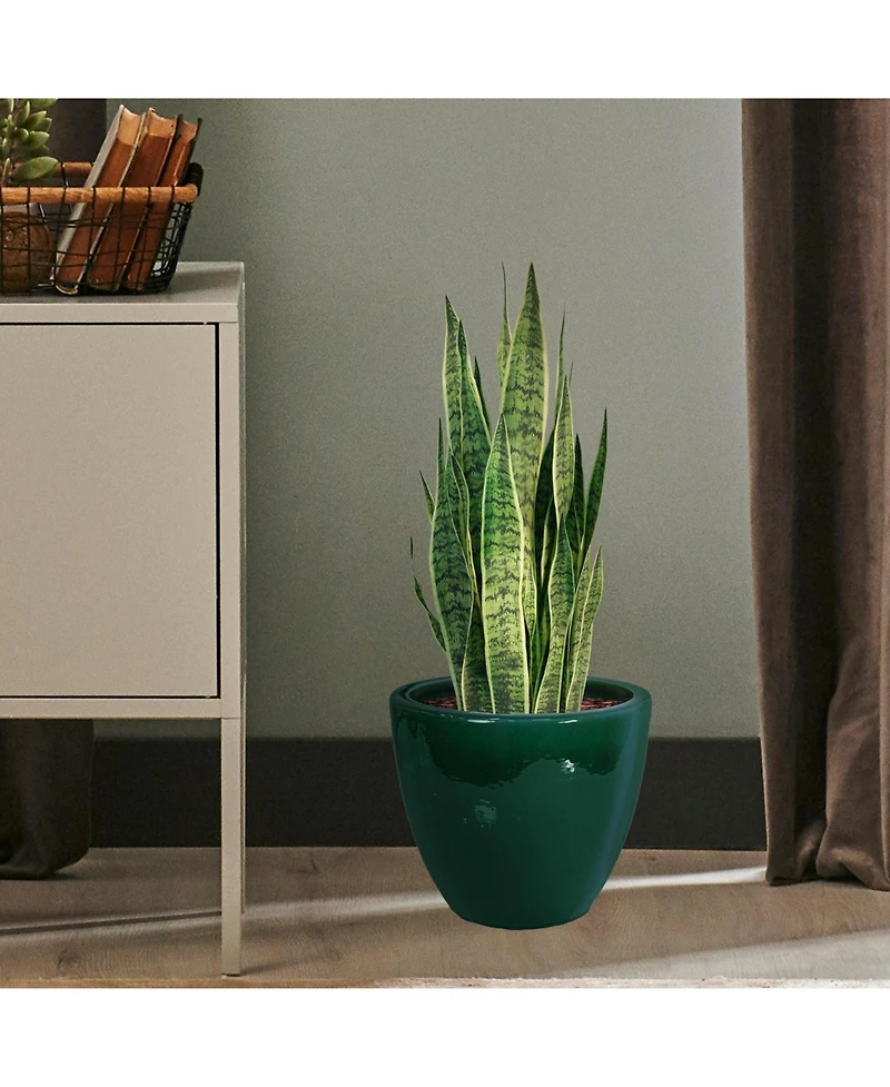 Resort Outdoor/Indoor High-Fired Glazed Uv- and Frost-Resistant Ceramic Flower Pot Planter with Drainage Holes