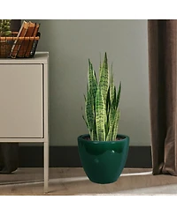 Resort Outdoor/Indoor High-Fired Glazed Uv- and Frost-Resistant Ceramic Flower Pot Planter with Drainage Holes