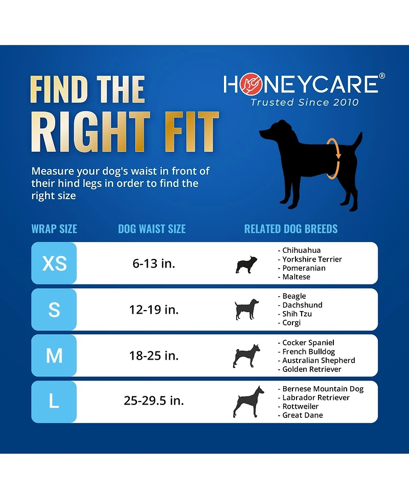 HoneyCare Paw & Dog Bone Print All-Absorb A26 Male Dog Wrap, Small, 100ct