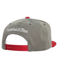 Mitchell & Ness Men's Gray Boston Red Sox Cooperstown Collection Basic Flip Snapback Hat