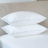 2 Pack Firm Down Alternative Bed Pillow