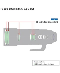 Sony Fe 200-600mm f/5.6-6.3 G Oss Lens for Sony E, Bundle with Takama 3-Section Aluminum Video Tripod with Fluid Head