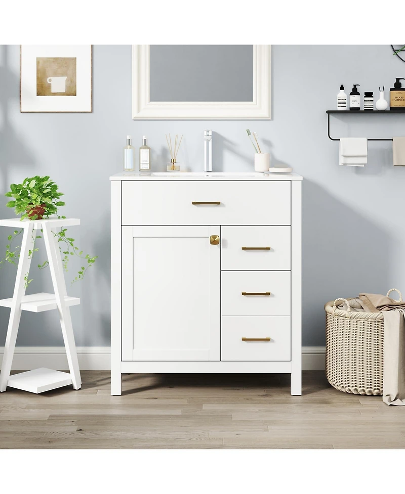 Single Bathroom Vanity with 2 Drawers and 1 Door