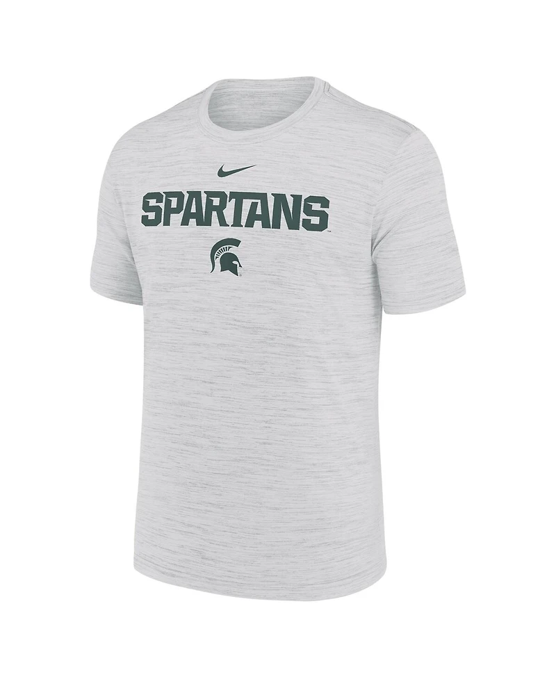 Nike Men's Ash Michigan State Spartans 2025 Sideline Velocity Performance T-Shirt