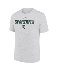 Nike Men's Ash Michigan State Spartans 2025 Sideline Velocity Performance T-Shirt