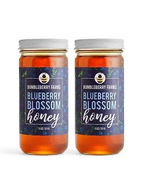 Bumbleberry Farms Blueberry Blossom Honey Set of 2