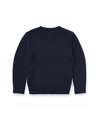 Polo Ralph Lauren Toddler and Little Boys The Iconic Flag Sweater