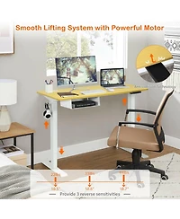 48-Inch Electric Standing Adjustable Desk with Control Panel and Usb Port