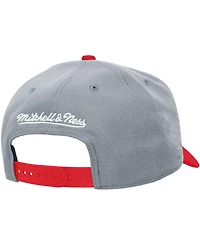 Mitchell & Ness Men's and Women's Gray Boston Red Sox Basic Coop Pro Adjustable Hat
