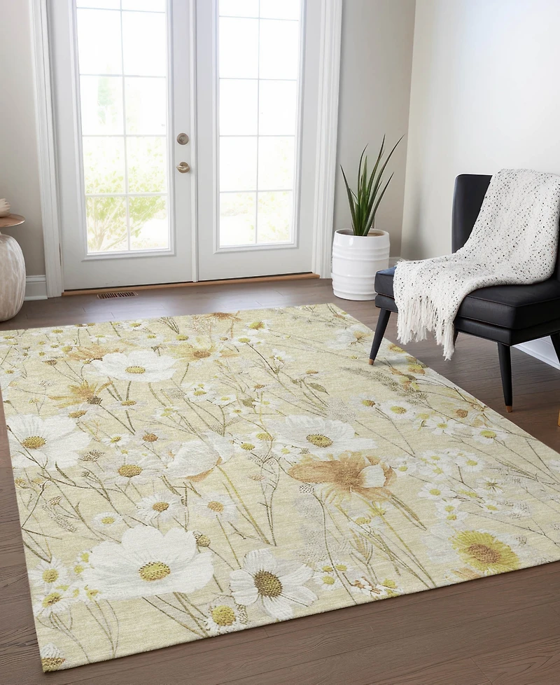 Addison Chantille Machine Washable ACN1505 5'x7'6" Area Rug