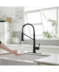 Single-Handle Pull-Down Sprayer 2 Spray High Arc Kitchen Faucet With Deck Plate in