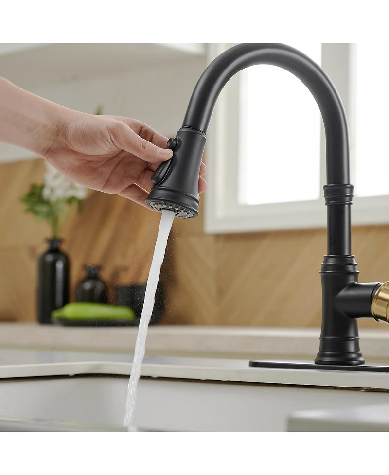 Single-Handle Pull-Down Sprayer 3 Spray High Arc Kitchen Faucet With Deck Plate Oil Gold&Black